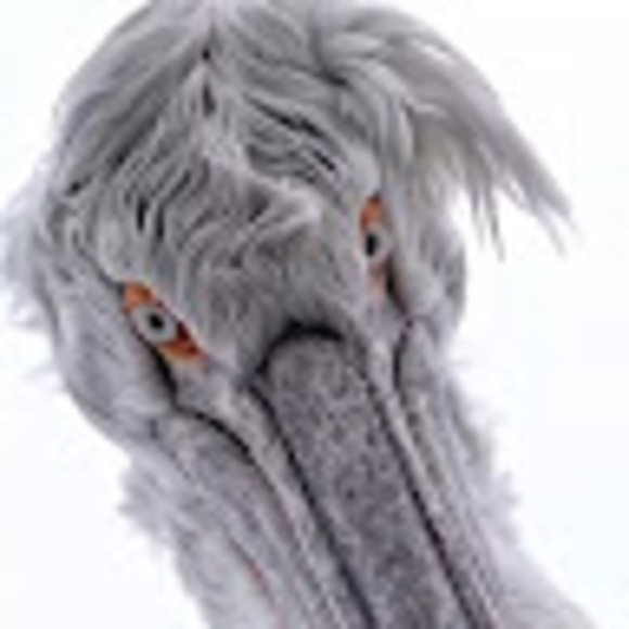 graybills